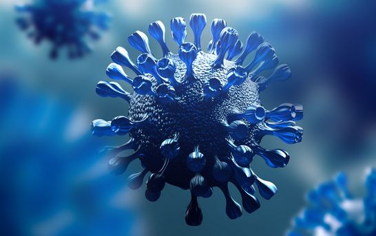 Terjed a koronavírus